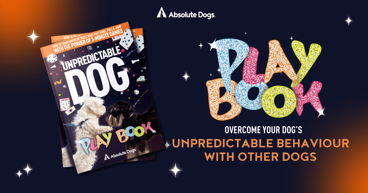 Unpredictable Dog - Free Playbook from Absolute Dogs