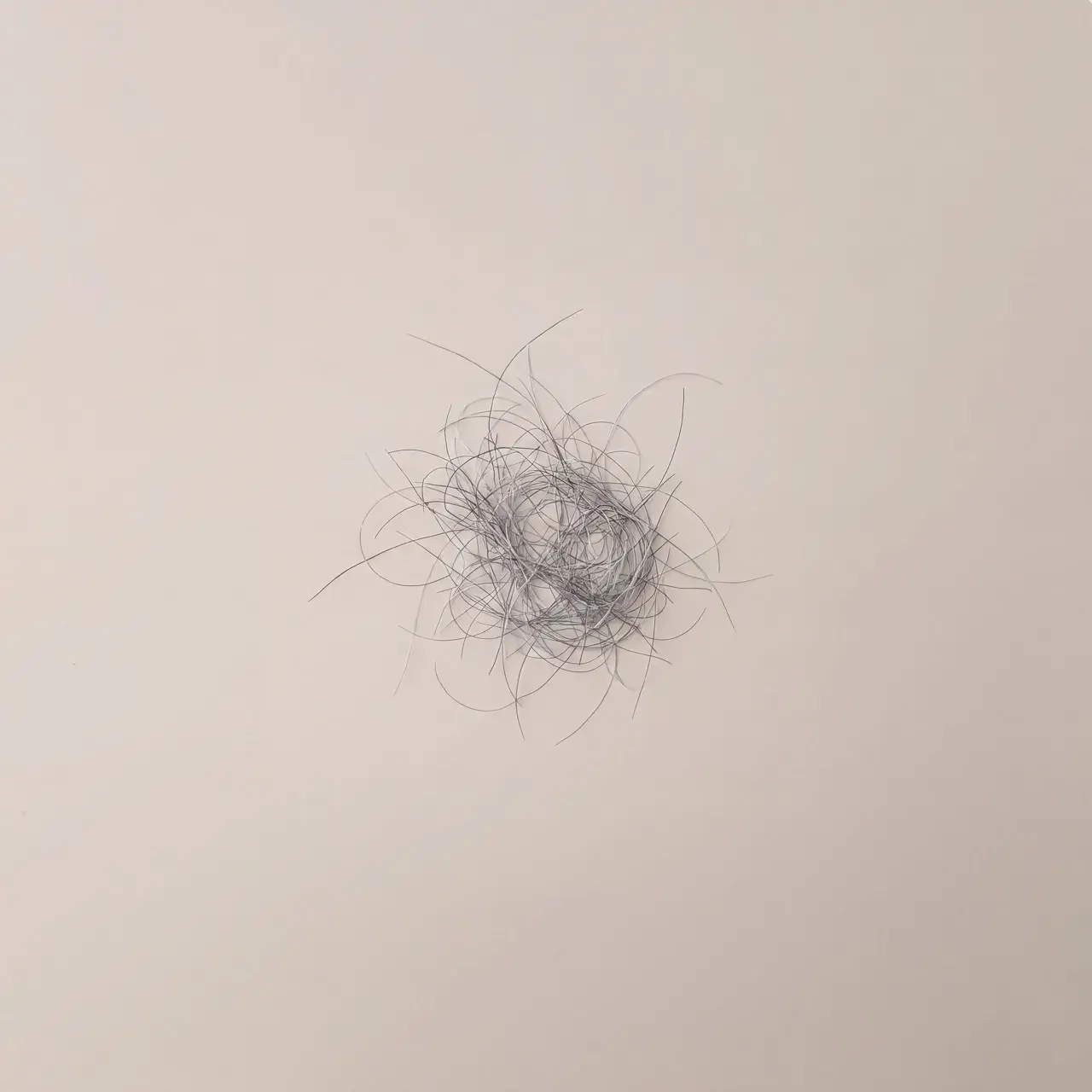 Hair in the brush after